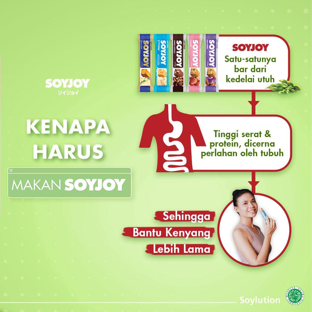 SOYJOY DANISH CHEESE - 12 BARS